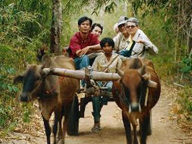 Angkor Wat tours, tailor made